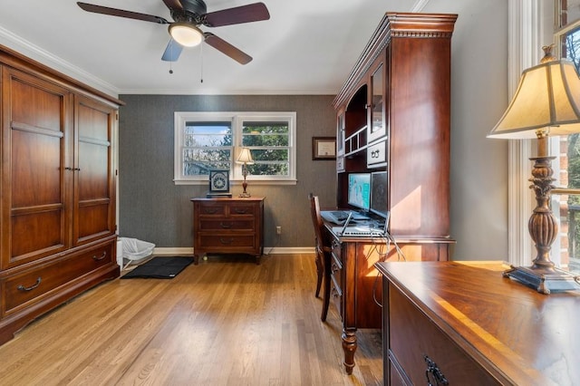 office area featuring ceiling fan, ornamental molding, and light hardwood / wood-style floors