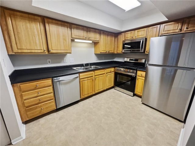 kitchen with stainless steel appliances and sink