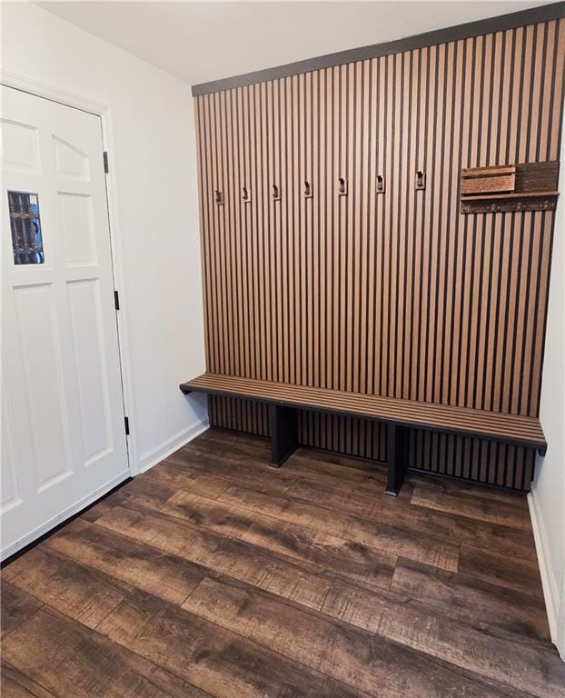 mudroom with dark hardwood / wood-style flooring