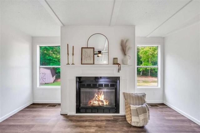 118 Buck Creek Cir, Griffin, GA 30224 - detailed view of a glass covered fireplace, wood finished floors, a textured ceiling, and a ceiling fan