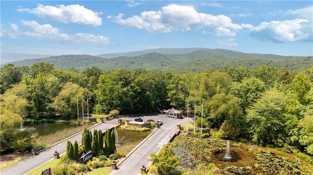 birds eye view of property featuring a mountain view