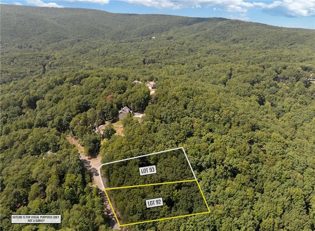 birds eye view of property with a mountain view