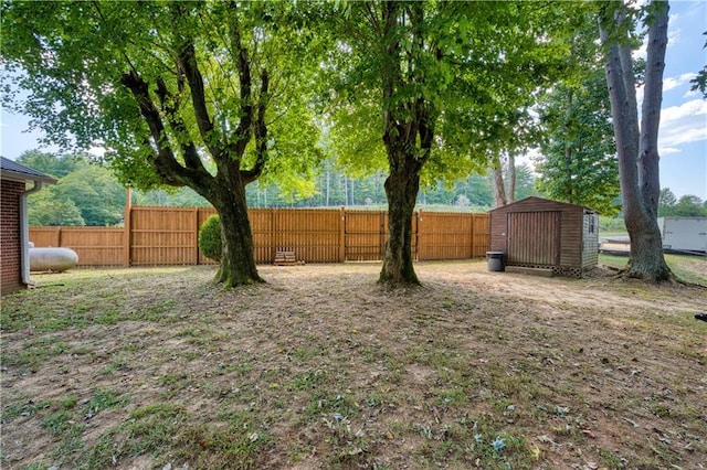 view of yard featuring a shed