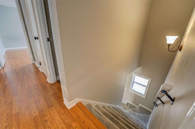 staircase featuring hardwood / wood-style flooring