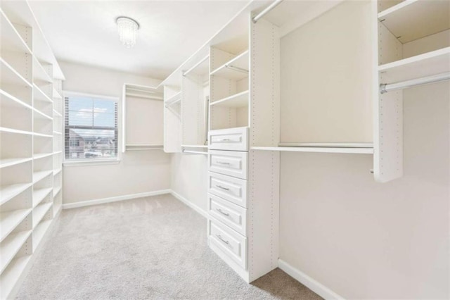 spacious closet with light colored carpet