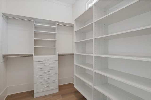 spacious closet featuring dark hardwood / wood-style floors