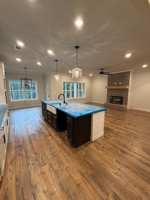 kitchen featuring a sink, hardwood / wood-style flooring, crown molding, open floor plan, and ceiling fan
