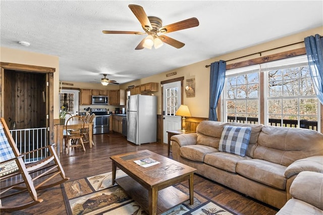 living room featuring ceiling fan, dark wood-type flooring, and a textured ceiling