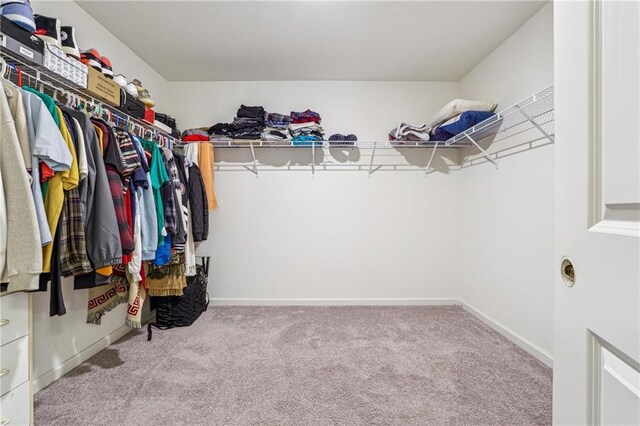 walk in closet featuring carpet