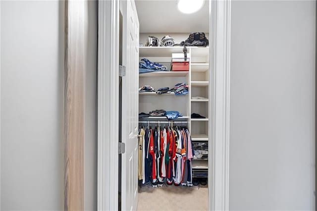 view of closet