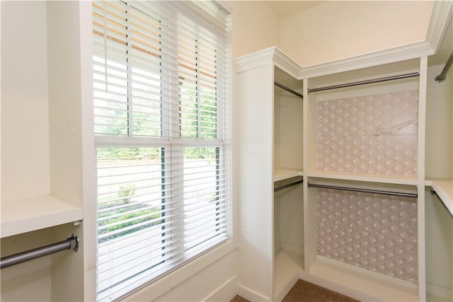 view of walk in closet