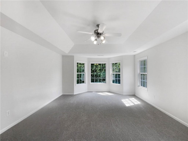 spare room with carpet floors, a tray ceiling, and ceiling fan