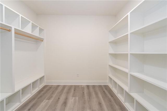 walk in closet featuring light wood-type flooring