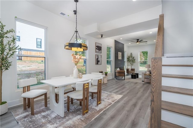 dining area with hardwood / wood-style floors and ceiling fan