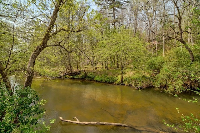 369 Trillium Rd, Suches, GA 30572 - water view