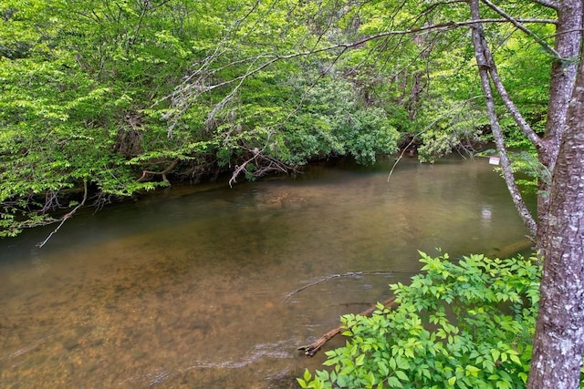 369 Trillium Rd, Suches, GA 30572 - water view