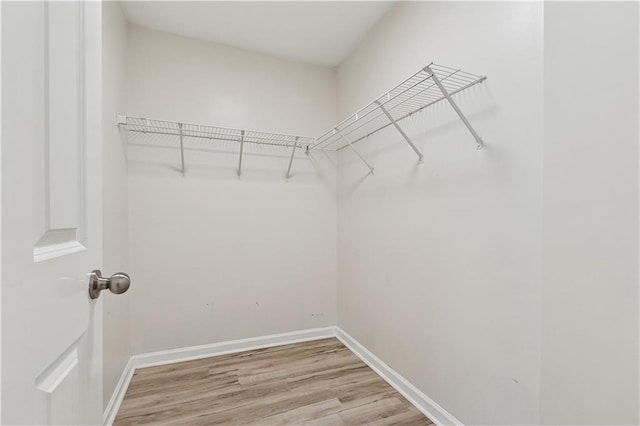 walk in closet featuring wood-type flooring