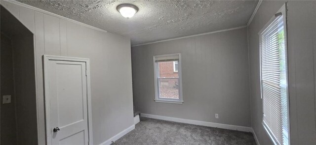 carpeted spare room featuring a textured ceiling and ornamental molding