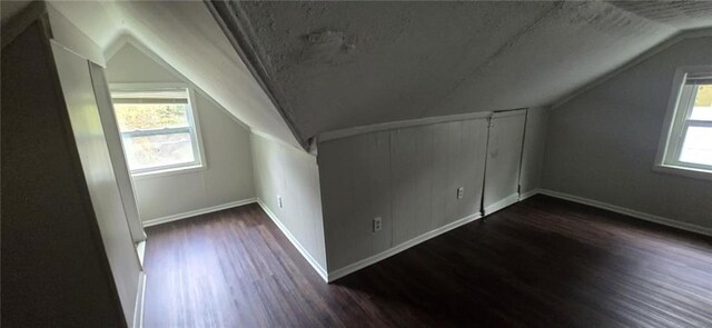 additional living space with lofted ceiling, dark wood-type flooring, and a wealth of natural light