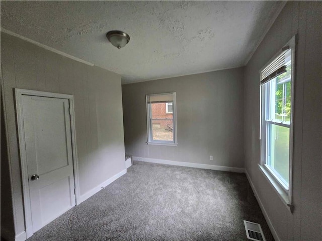 empty room with carpet flooring, a healthy amount of sunlight, a textured ceiling, and baseboards