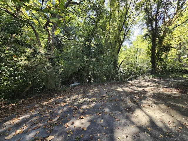 view of landscape featuring a wooded view