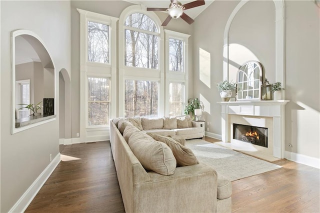 interior space featuring dark wood-type flooring, a wealth of natural light, and high vaulted ceiling