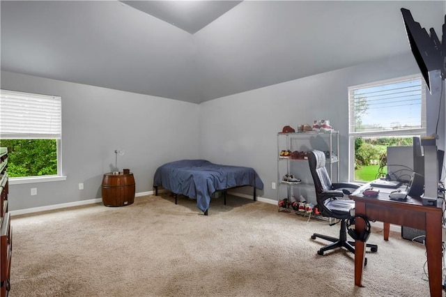 bedroom with lofted ceiling and carpet flooring