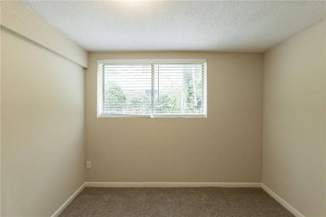 4669 Birch Ridge Trl, Stone Mountain, GA 30083 - spare room featuring carpet flooring, a textured ceiling, and baseboards