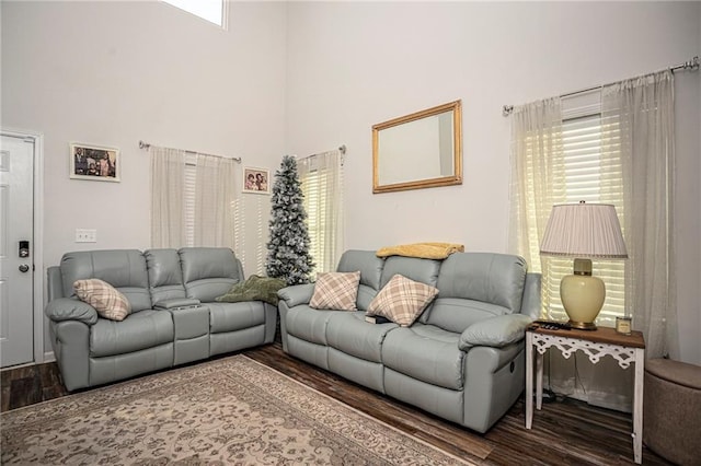 living room featuring a high ceiling and wood-type flooring