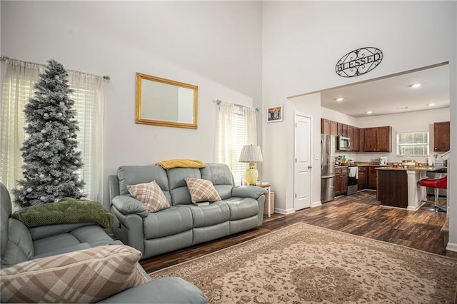 living room with a healthy amount of sunlight and dark hardwood / wood-style floors