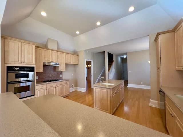 kitchen with stainless steel appliances, a sink, under cabinet range hood, and light brown cabinetry