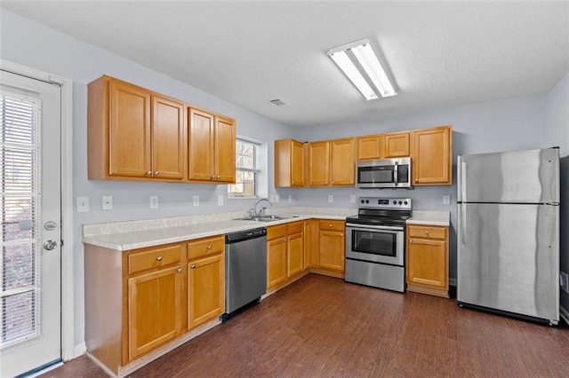 kitchen with dark hardwood / wood-style flooring, a healthy amount of sunlight, sink, and stainless steel appliances