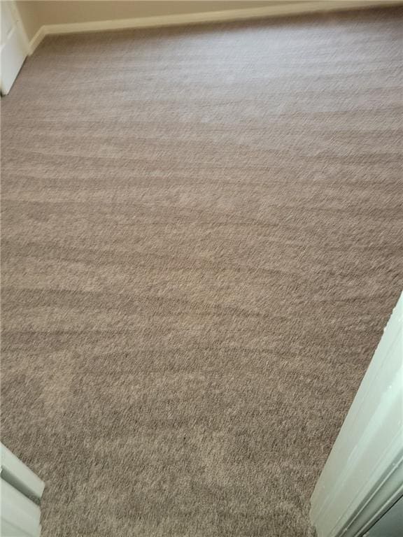 interior details with carpet flooring