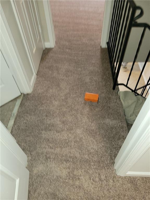 interior details with carpet