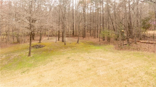 5150 Rockford Ln, Stockbridge, GA 30281 - view of yard