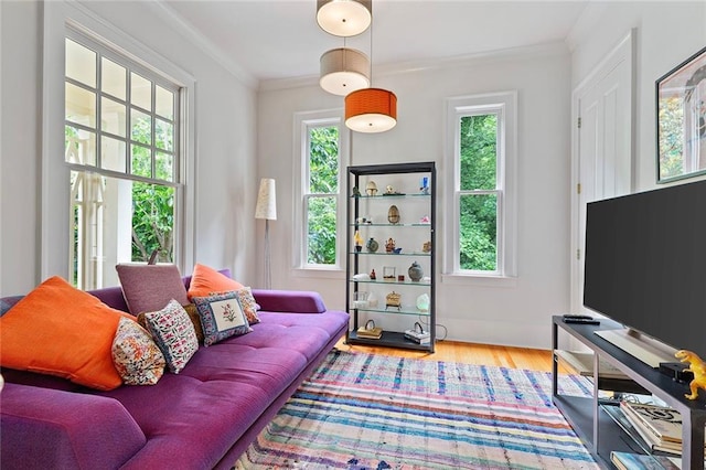 453 Carter Ave SE, Atlanta, GA 30317 - living room featuring plenty of natural light, crown molding, and wood finished floors