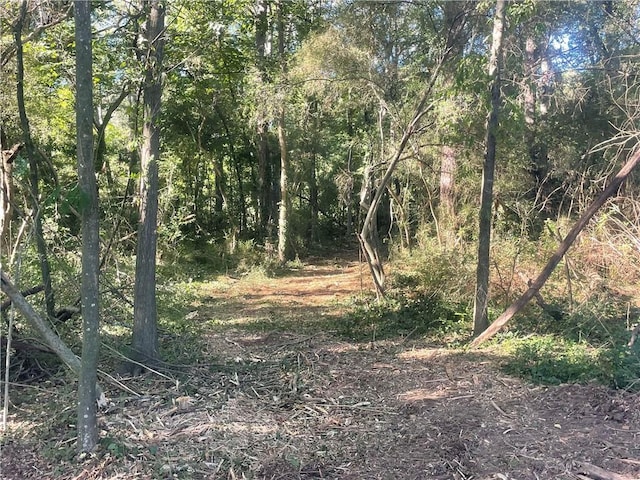 00 Roosevelt Hwy, Atlanta GA, 30337 land for sale