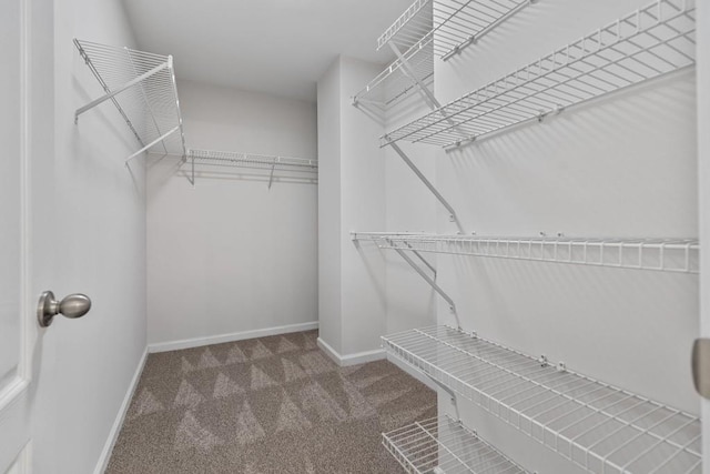 2934 Mill Grove Ter, Dacula, GA 30019 - walk in closet featuring carpet floors