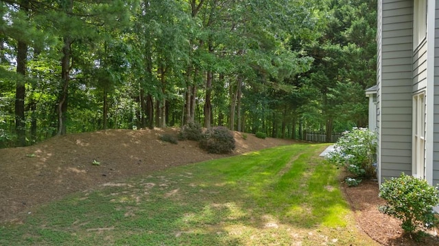 2934 Mill Grove Ter, Dacula, GA 30019 - view of yard