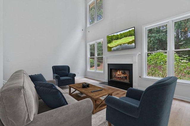2934 Mill Grove Ter, Dacula, GA 30019 - living area featuring wood finished floors, a glass covered fireplace, and healthy amount of natural light
