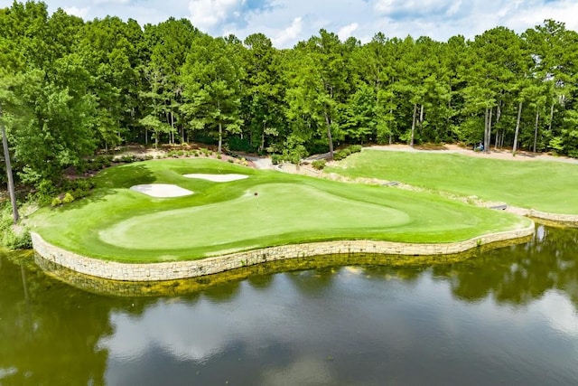 2934 Mill Grove Ter, Dacula, GA 30019 - view of property's community featuring golf course view, view of wooded area, and a water view