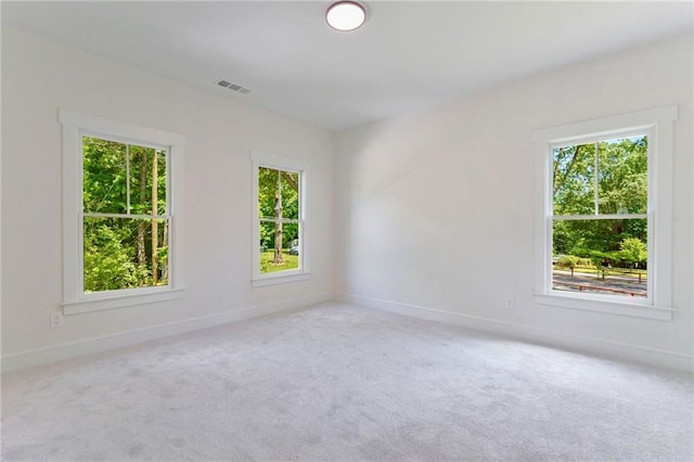 spare room with plenty of natural light, carpet floors, and baseboards