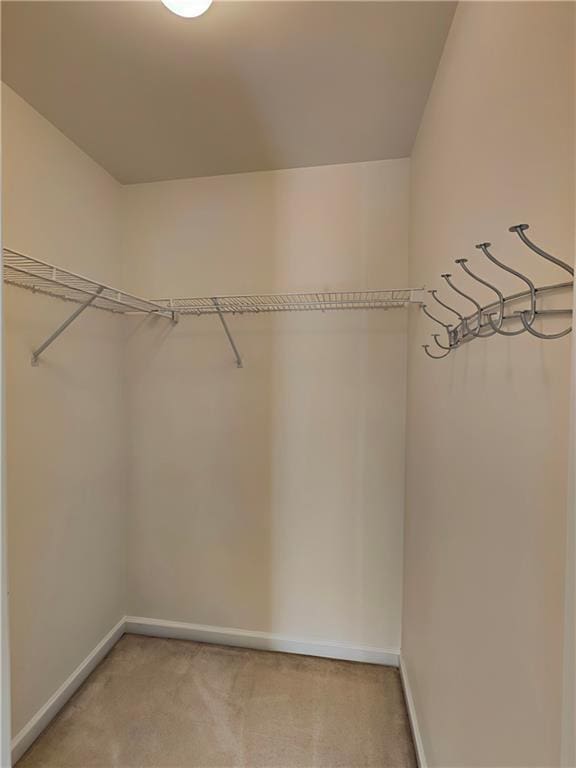 spacious closet featuring light colored carpet