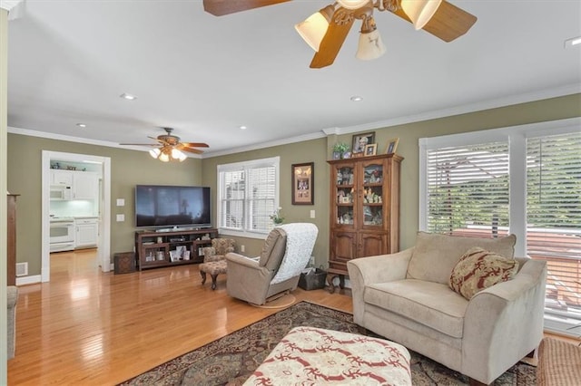 living room featuring ceiling fan, ornamental molding, and light hardwood / wood-style floors