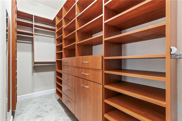 spacious closet with light colored carpet