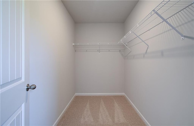 spacious closet with light colored carpet
