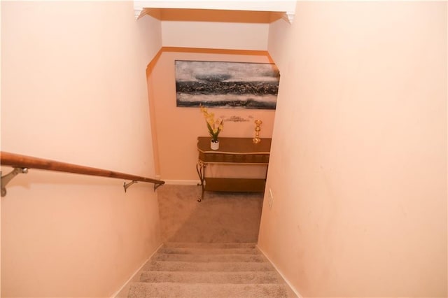 staircase featuring carpet floors