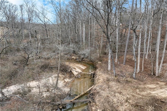 view of local wilderness