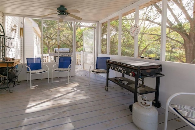 sunroom featuring ceiling fan and a healthy amount of sunlight