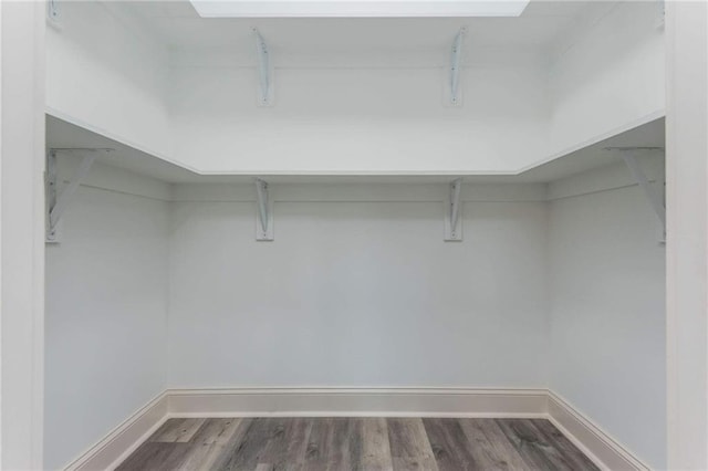 spacious closet with hardwood / wood-style floors